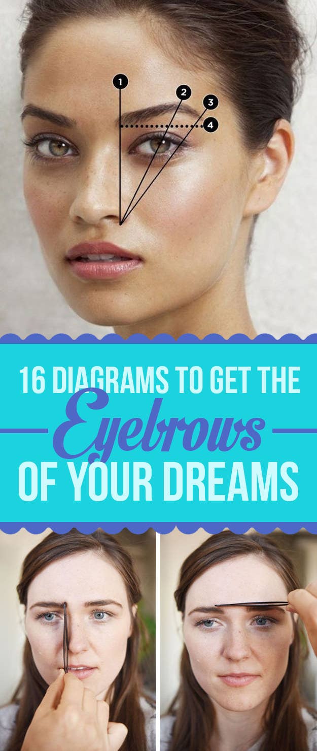 16 Eyebrow Diagrams That Will Explain Everything To You