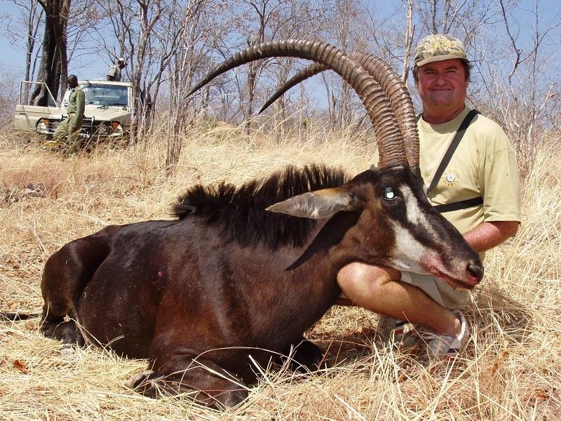 An Elephant Killed A Big Game Hunter Who Had Been Following Him For Hours