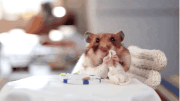 23 Things Only Ambipetrous People Will Understand 23 Things Only Ambipetrous People Will Understand