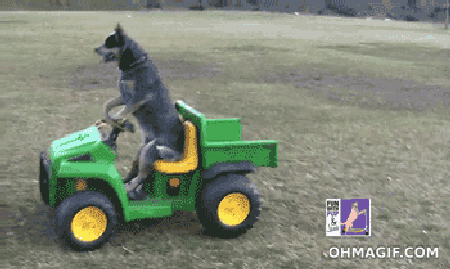 Driving away in your first car and feeling like the world is your total oyster. That feeling again, please, universe.