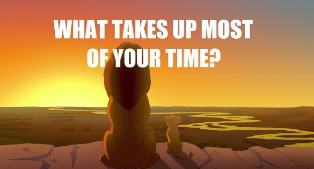 Are You More Timon Or Pumbaa?