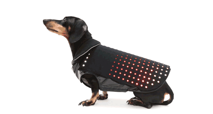 OKAY, so it's kind of strange to light up your dog like a freaking Christmas tree, but this raver accessory does have some practical uses. The vest makes it easier for drivers to notice your dog at night, but the funniest feature is its tracking ability. Whenever your dog wanders too far, the words "LOST DOG" will stream on the vest, lol. Cost: $300-$400