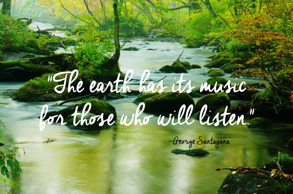 24 Of The Most Beautiful Quotes About Nature