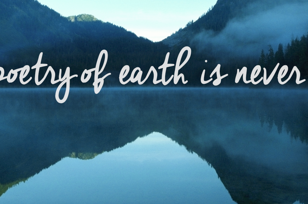 24 Of The Most Beautiful Quotes About Nature, image size:1250x830