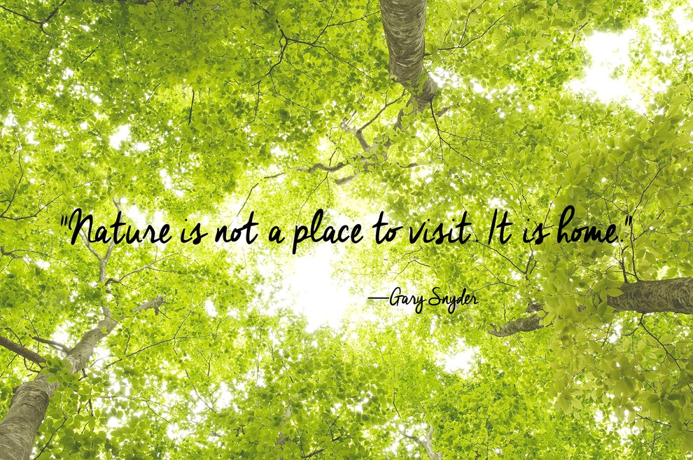 24 Of The Most Beautiful Quotes About Nature