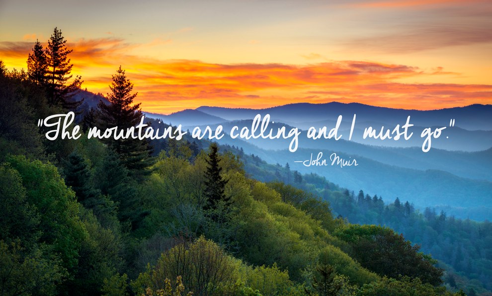 24 Of The Most Beautiful Quotes About Nature