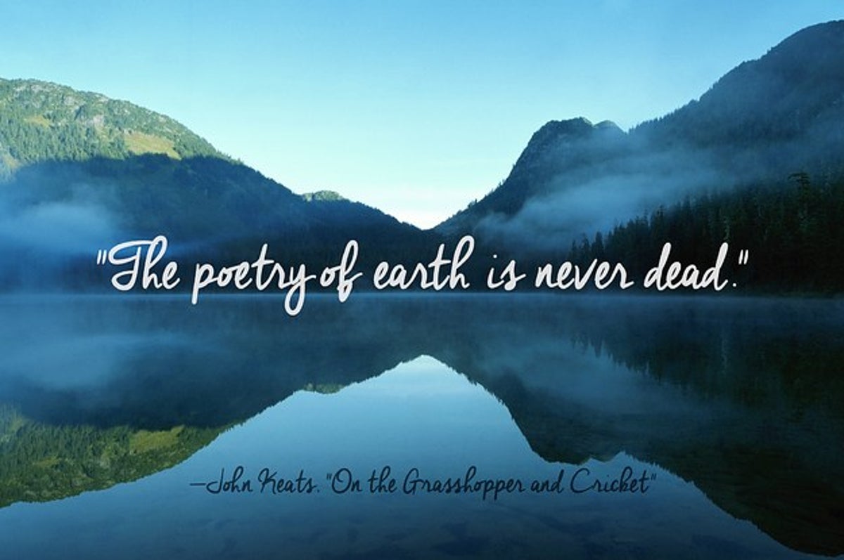 24 Of The Most Beautiful Quotes About Nature