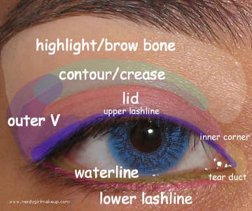 19 Eyeshadow Basics Everyone Should Know