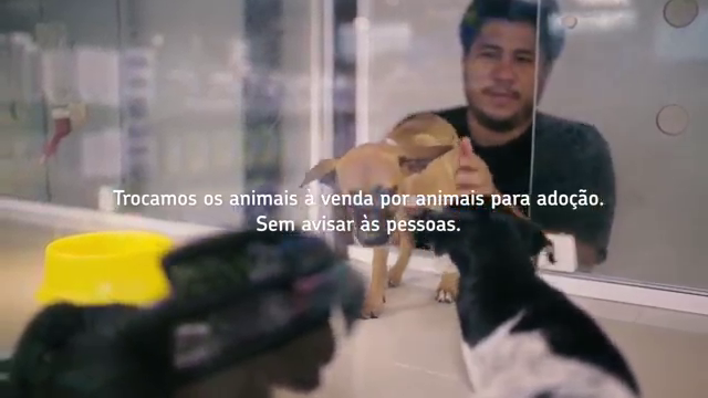 "As pessoas gastam um valor absurdo pra comprar um animal quando existem outros que poderiam estar levando um amor incondicional pro resto da vida sem precisar que a pessoa gaste um centavo por isso", diz Christianne Duarte Garoui, presidente e fundadora da associação.