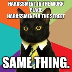 If only people could be as insightful as these cats...