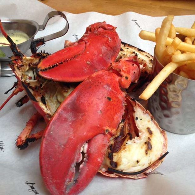 You could go for the burger too, I'm not gonna tell you off. But look at the lobster. LOOK AT IT.