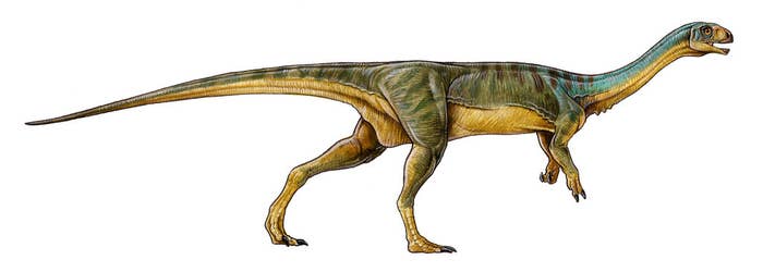 dinosaur that looks like a platypus