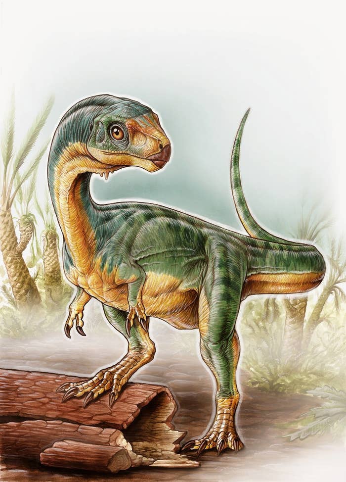 dinosaur that looks like a platypus