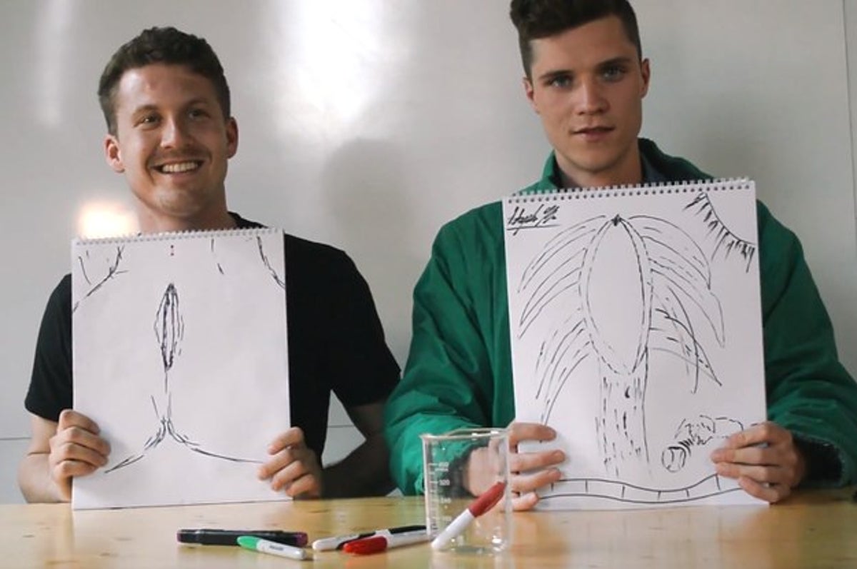 Men Describe And Draw Their Ideal Vaginas