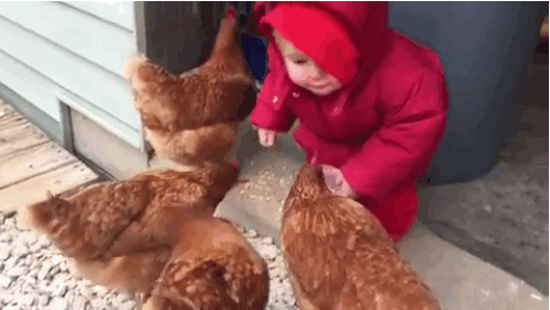This Video Of A Little Girl Face-Planting While Feeding ...