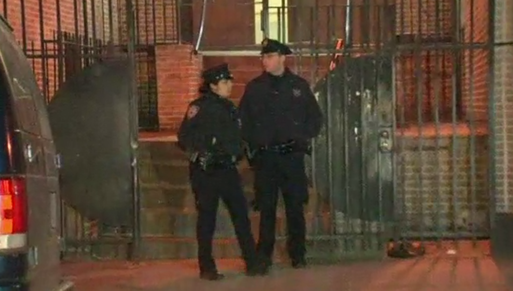 17-Year-Old Who Fell Six Stories During NYPD Chase Has Died