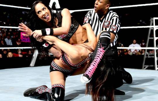 Wwe Aj Lee Fucking - WWE Wrestler AJ Lee Has Retired From In-Ring Competition