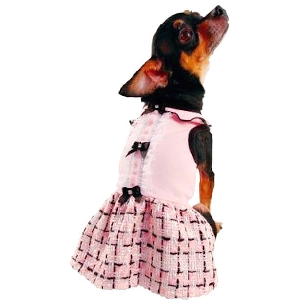 21 Dog Outfits You Won't Believe You Can Actually Buy