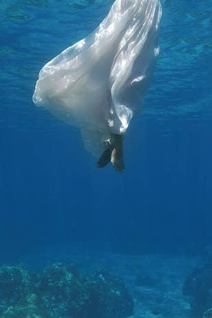 Get Wallpaper Estas Fotos De Boda Bajo El Agua Te Dejaran Literalmente Sin Aliento Free