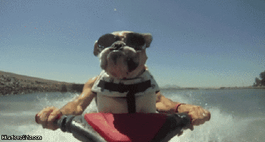 This is me, driving away from you and everything you are doing.