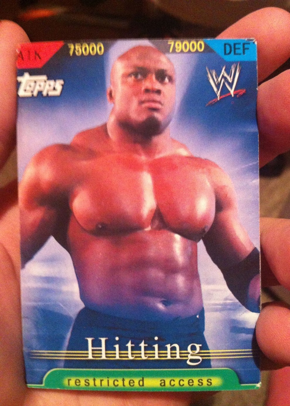 These Vintage Knock-Off WWE Trading Cards Are The Best Thing Ever