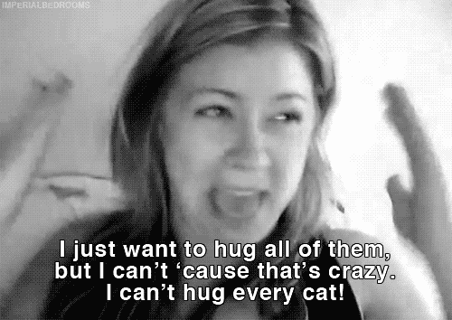 If you ever need a pick-me-up, you can find some adorable cat videos on their wall.