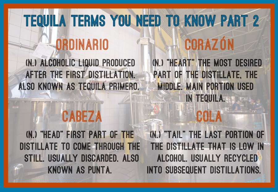 10 Tequila Facts That Will Make You Look Like A Connoisseur