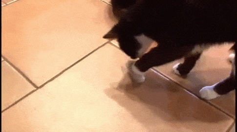 "I'll still eat it."