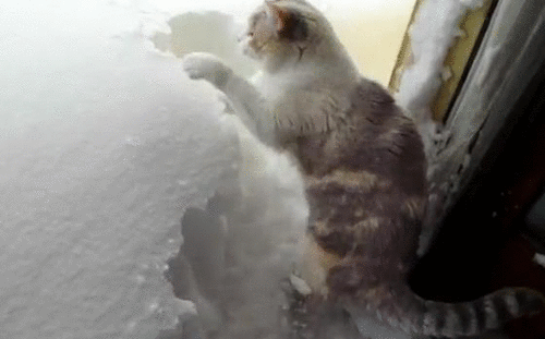 Because you were literally snowed in.