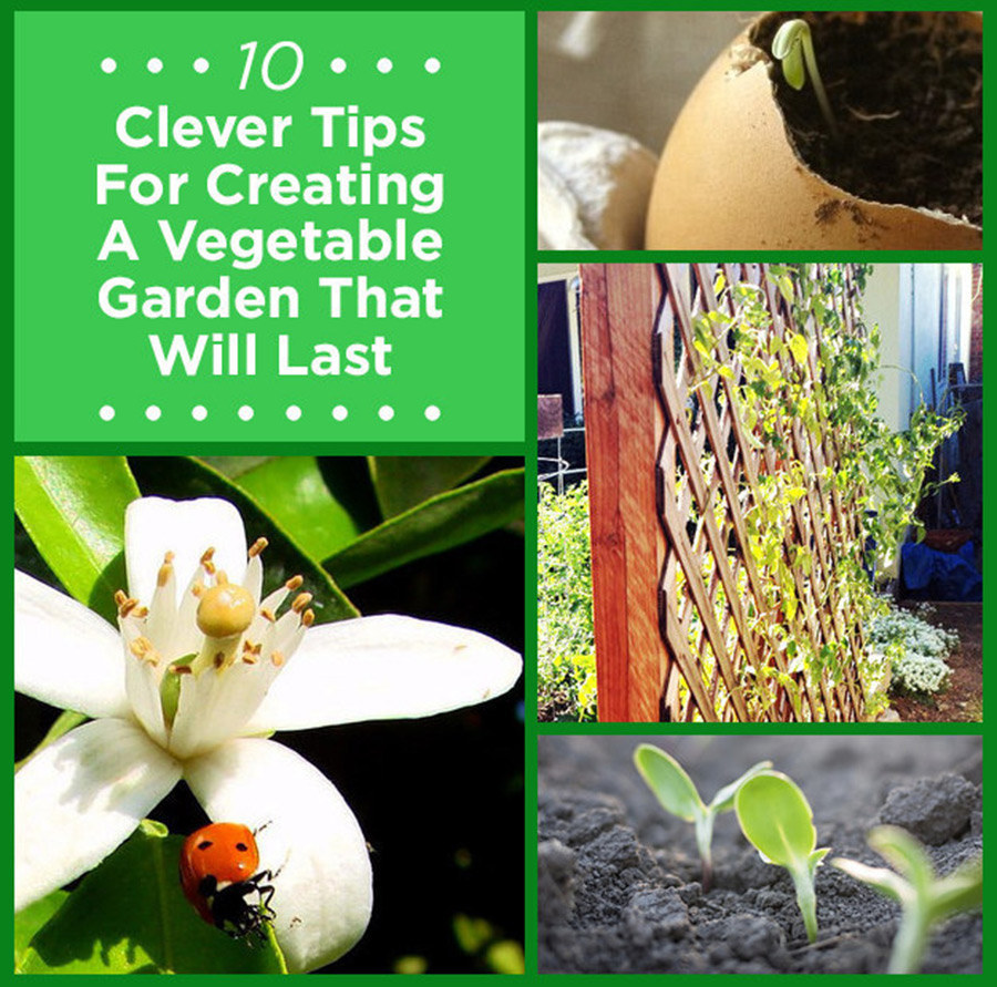 10 Clever Tips For Creating A Vegetable Garden That Will Last