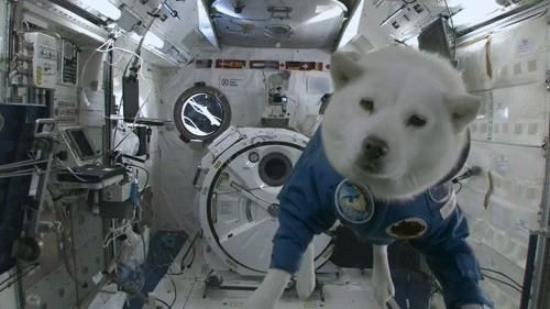 Be The First Person To Live In Space