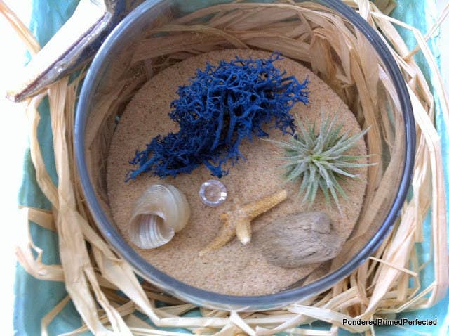 Aprende cómo traer la playa adentro aquí.