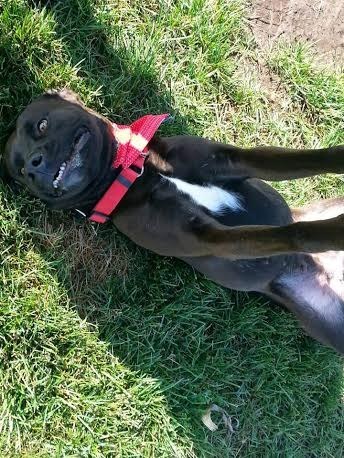 "This is how I'm going to smile for my adoption picture."