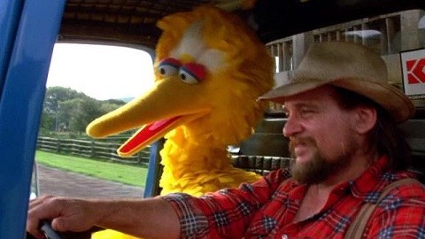 Well, for me, it was probably Waylon Jennings, because we got to be such good friends. He was a famous country singer. He was hired to play the Turkey Truck Driver in FOLLOW THAT BIRD, when I tried to hitchhike back to Sesame Street. And I spent 2 days in that truck with Waylon. And after that, I said "You have to come do Sesame Street and sing a song!"And he did, and he wrote a song for him and Oscar to sing, and that song was called "Wrong."Oscar loves to say you're WRONG, but usually he says "Ding-dong, you're WRONG."And with this, he had his own song!