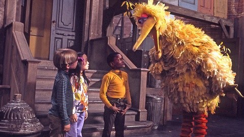 Well, the early Big Bird legs were made out of a fabric that had plastic in it - a dangerous fabric - and all of a sudden, a lamp smashed, almost hit me, and the 2,000 watt bulb had TREMENDOUS heat, and it set Big Bird's leg on fire! I looked down, I see flames coming up into the suit - because there's a hoop I can look down and see my feet - and so I said "I'm on FIRE!" and it was the beginning of the show, so Big Bird was strapped to me - and now he's on fire - so one of the camera men, they didn't have any extinguishers around (they do now) - Richie King, the camera man, he's no longer a camera man, but he saved my life by smashing out the flames with his bare hands!So now we use much safer fabrics.