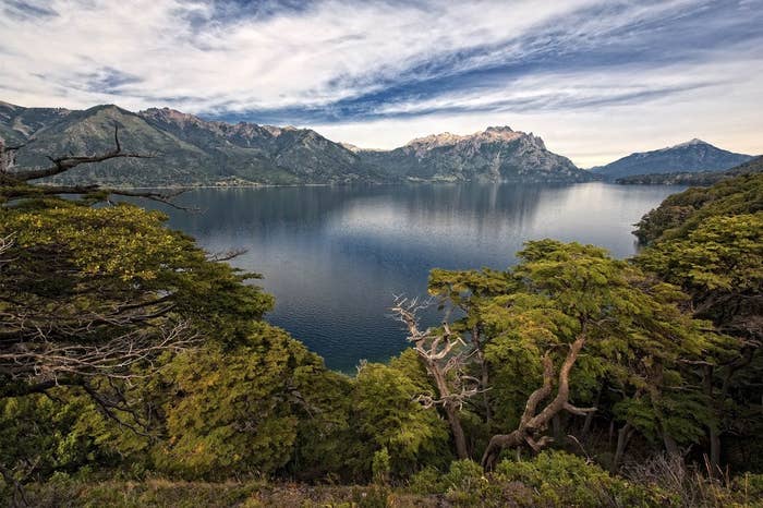 Encuentran Duende Real En El Bosque 