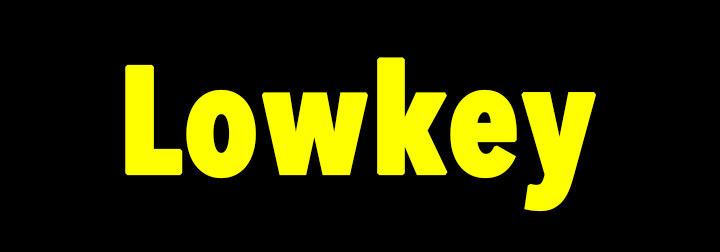 Lowkey (adjective): secretly or discretely; slightly or kinda.