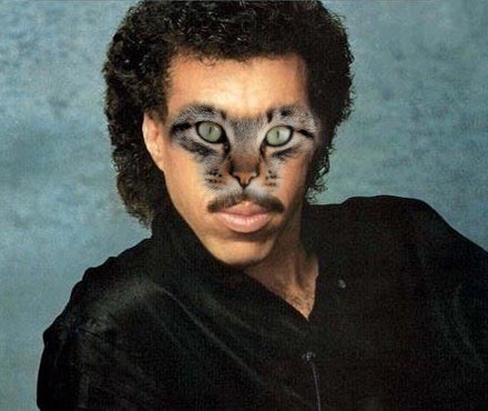 He'll build you a Brick Meowse (1977). He's the purrfect match to your heart.