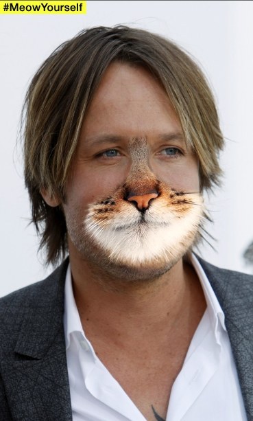 Goodbye Nicole Kittyman, hello Australian cubmuffin.