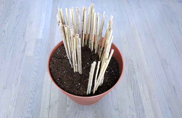 These are perfect for planting multiple herbs in one pot.