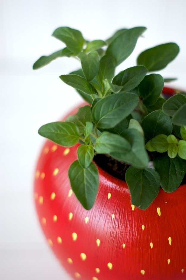 Make an herb planter that looks like a strawberry.