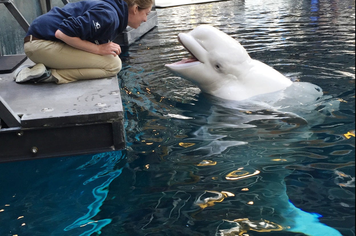 Aquarium