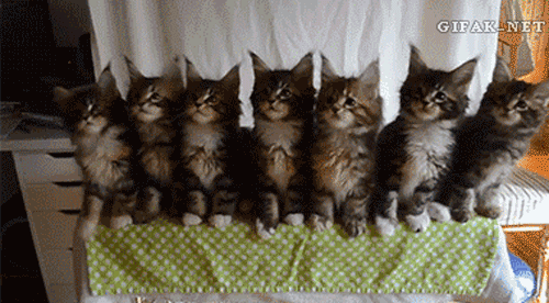 You want to join like now.
