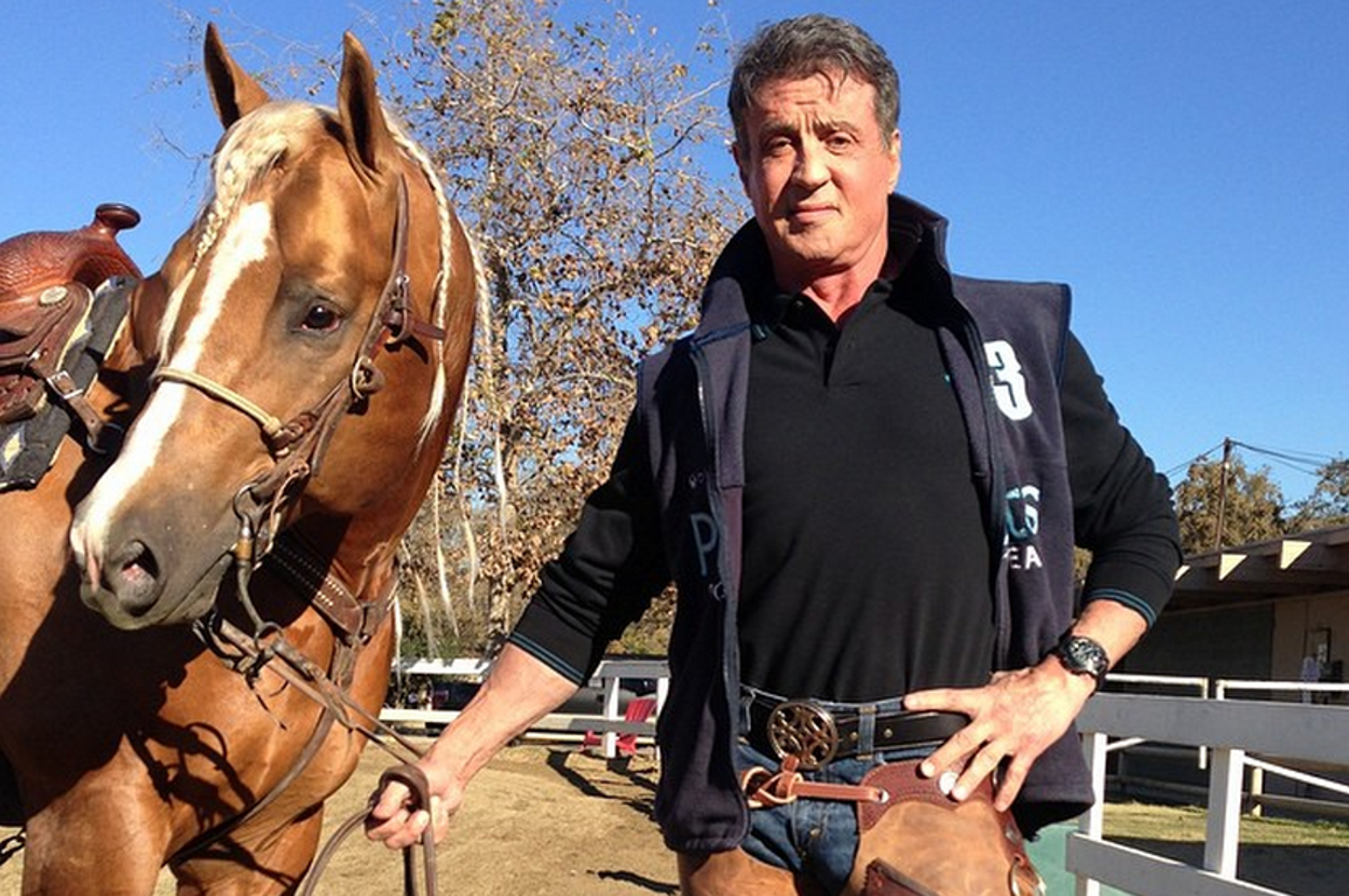 Sylvester Stallone Thinks This Is The Sexiest Horse Of 2015 sylvester-stallone-thinks-this-is-the-sexiest-horse-of-2015