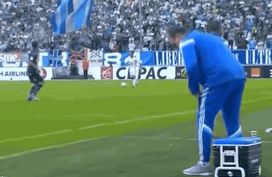 Marcelo Bielsa peut se rassoir sur sa glacière: tout comme Lyon, Monaco et Saint-Etienne, il a échoué à faire tomber le PSG.