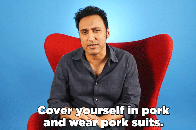 "(The characters in Halal in the Family are) drinking pork juice, and eating pork, and covering themselves in pork, and wearing pork suits and pork hats and pig noses. They are like, 'We are walking pork billboards! You don’t need to be afraid of us!'"