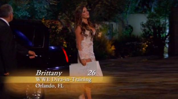 21 Of The Best Made Up Jobs From The Bachelor And Bachelorette