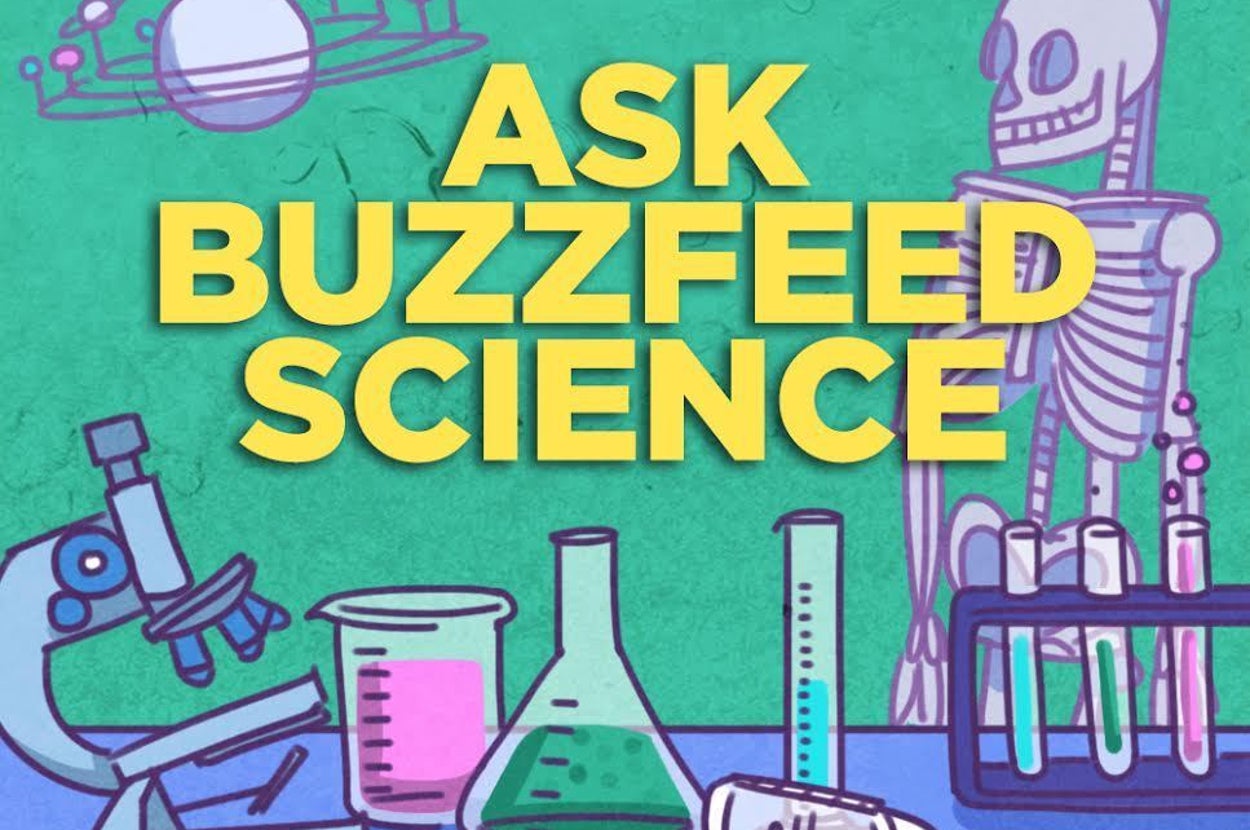 What Question Do You Want BuzzFeed Science To Answer?