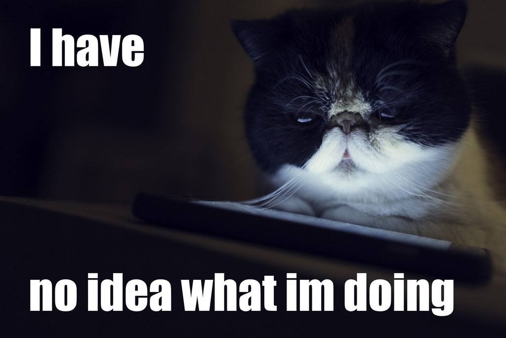 "Hmmm, 20.4 megapixel, hi-definition camera with auto-focus, and an image stabiliser? Pfft, just point and click, right?"