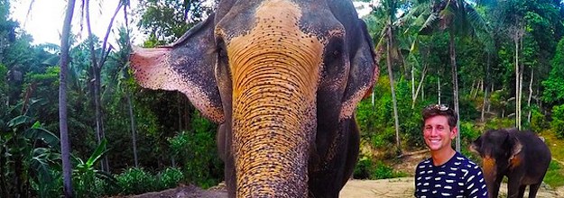 This elephant getting his nose into just about everything, especially  photographers : r/pics